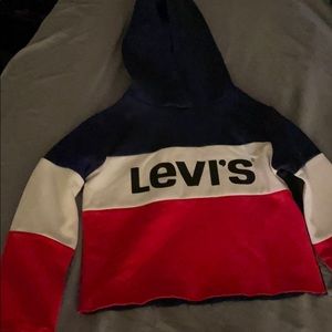 Cropped Levi’s Hoodie